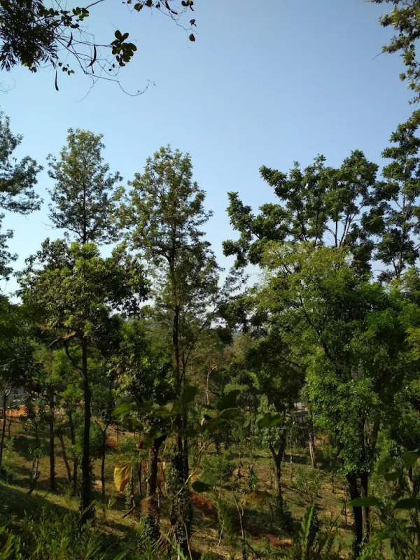 Kalgreen Valley Resort photo 27