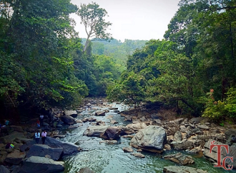 Cardamom Grove Homestay photo 20