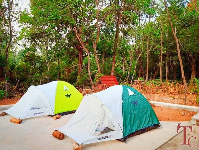 Cardamom Grove Homestay photo 60