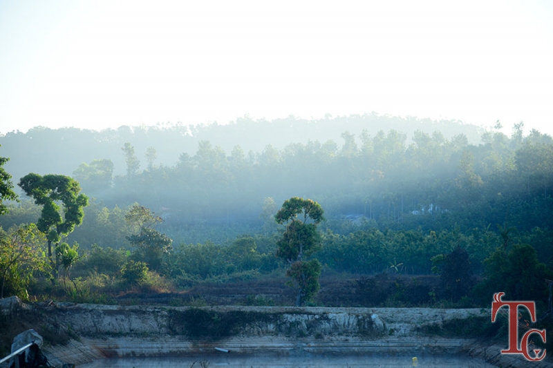 Gokul Valley Homestay photo 11