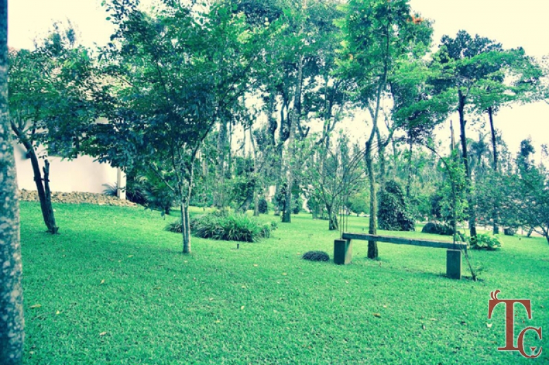 The Estate House photo 25