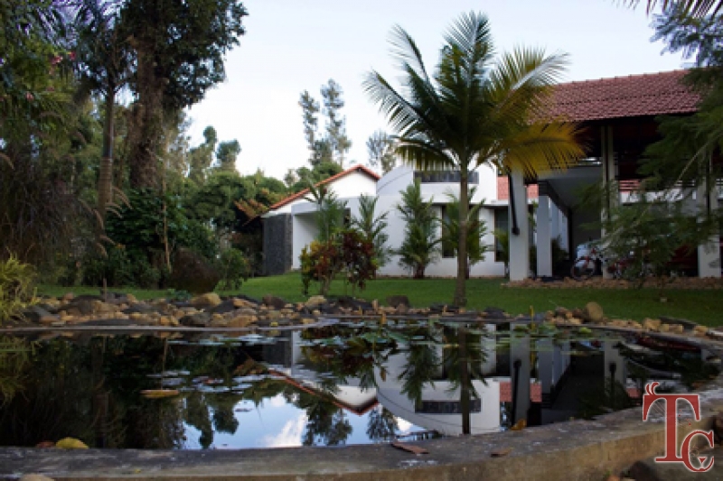 The Estate House photo 36