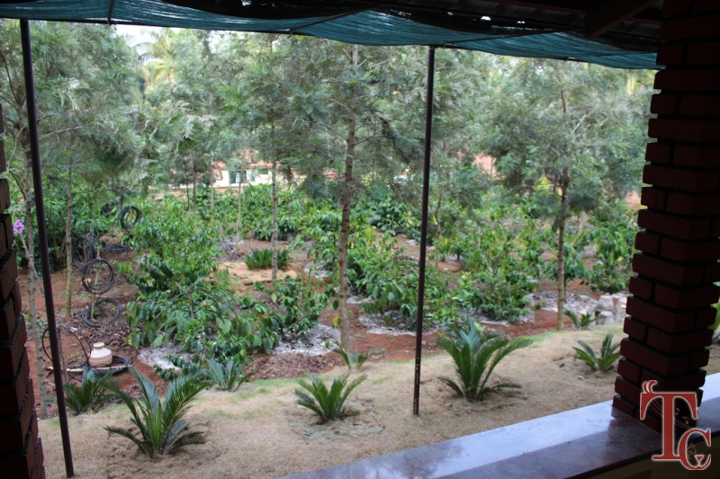 Cycas Grove Homestay photo 21