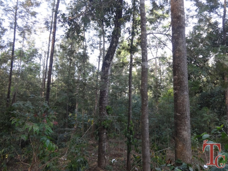Malnad Eco Stay photo 13