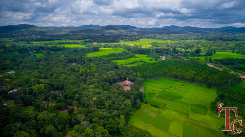 Nest Estate Homestay photo 25