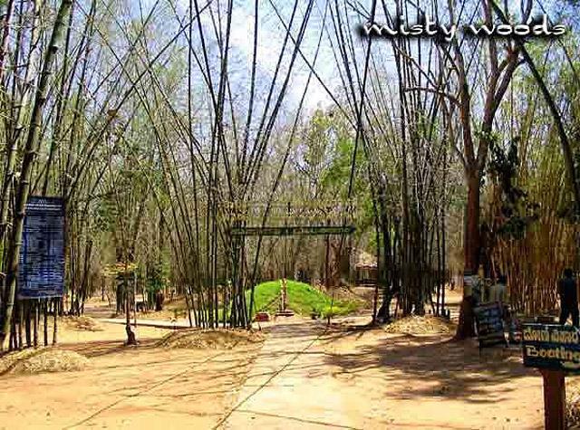 Misty Woods Resort photo 6
