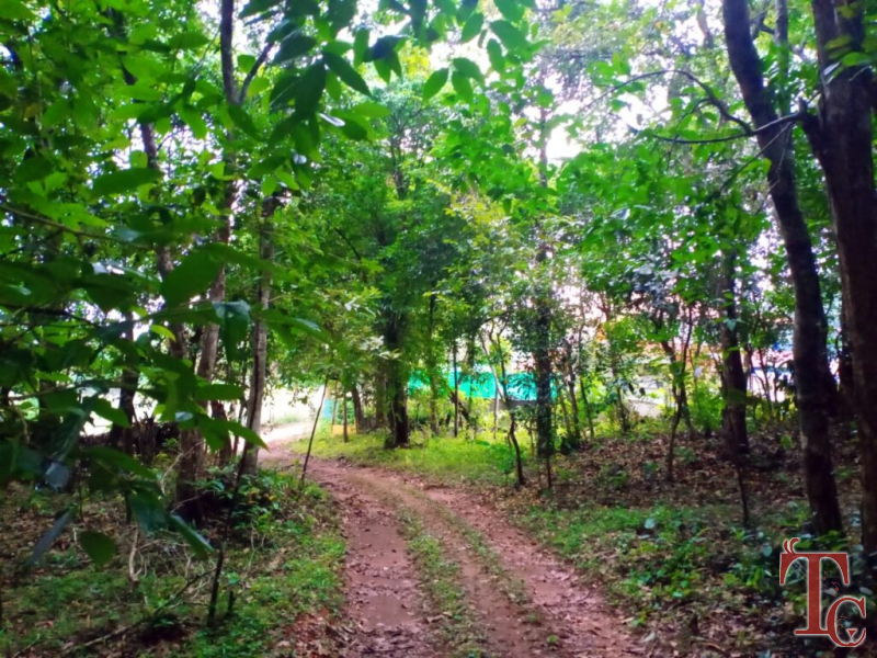 Nest Estate Homestay photo 82