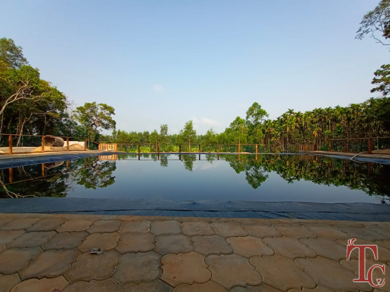 Nest Estate Homestay photo 91