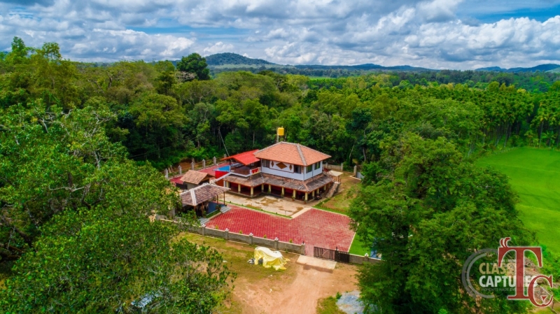 Nest Estate Homestay
