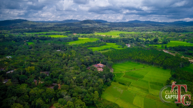Nest Estate Homestay photo 96