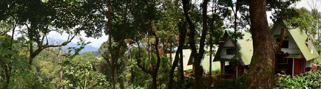 Misty Woods Resort photo 13