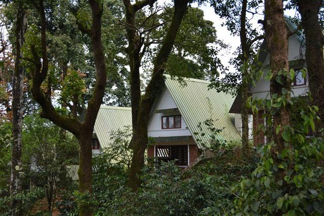 Misty Woods Resort photo 14