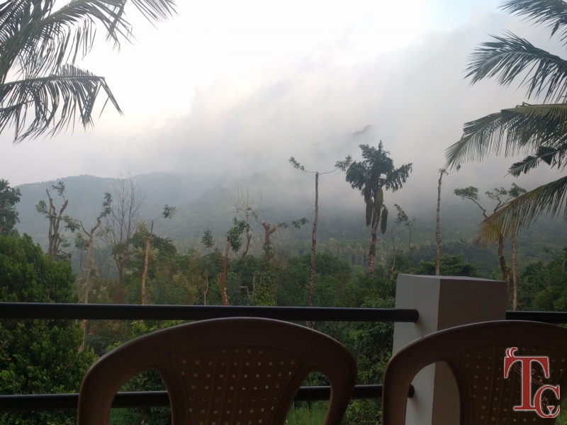 Megur Homestay photo 6