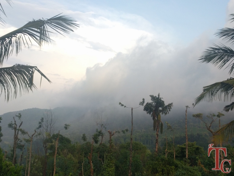 Megur Homestay photo 8