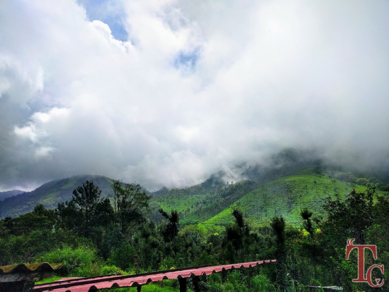 Megur Homestay photo 9