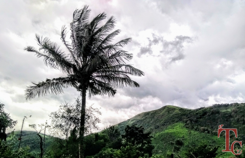 Megur Homestay photo 17