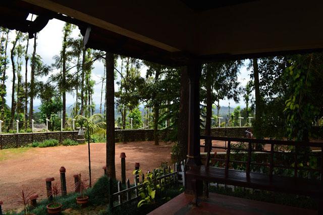 Misty Woods Resort photo 16