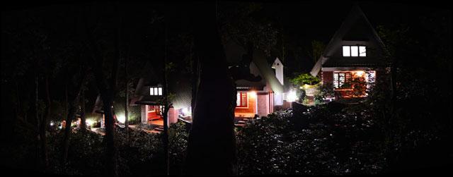 Misty Woods Resort photo 17