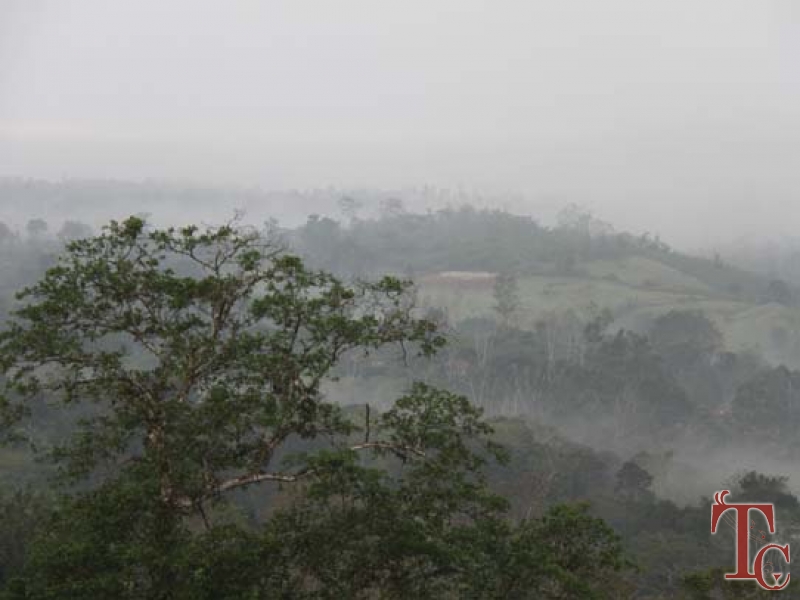 Nesting Grounds photo 5