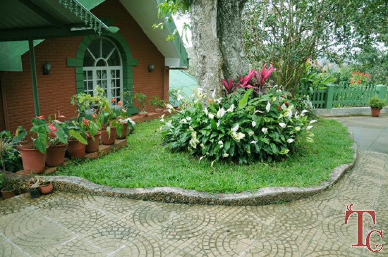 Nesting Grounds photo 29
