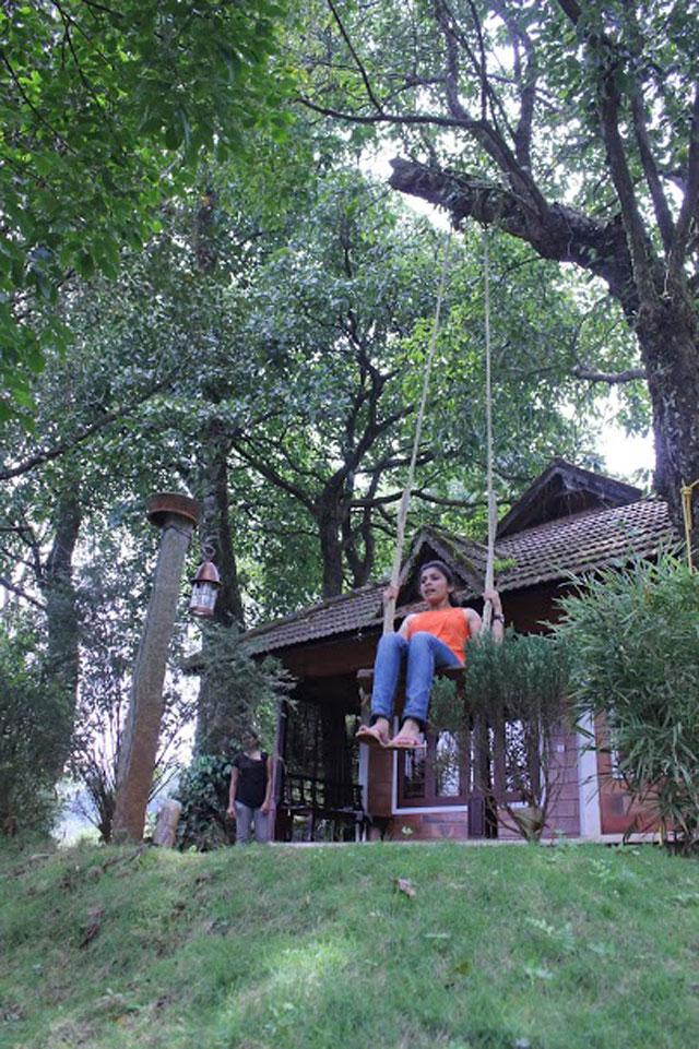 Misty Woods Resort photo 20
