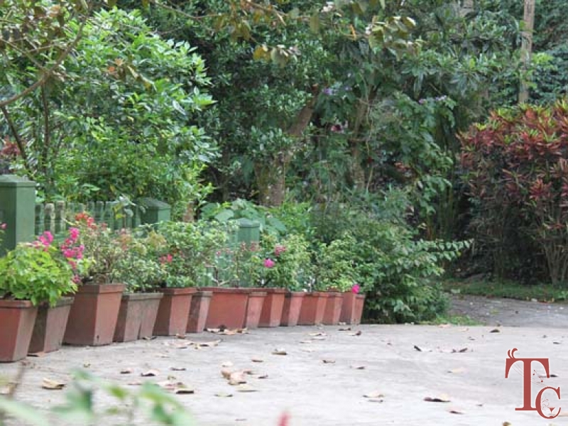 Nesting Grounds photo 37