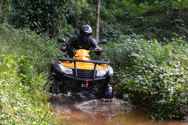 Misty Woods Resort photo 21