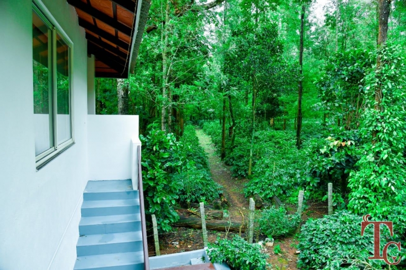 Nature Kingdom Homestay photo 12