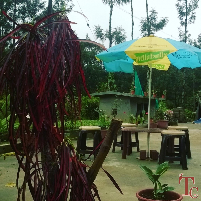 Fogg Villa Homestay photo 2