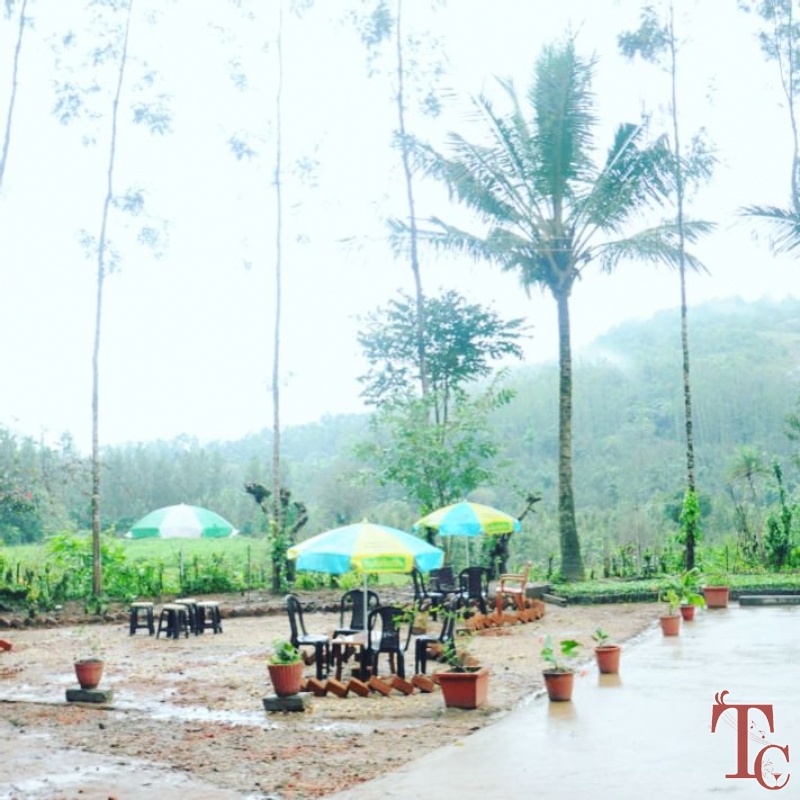 Fogg Villa Homestay photo 11