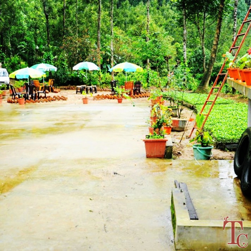 Fogg Villa Homestay photo 23