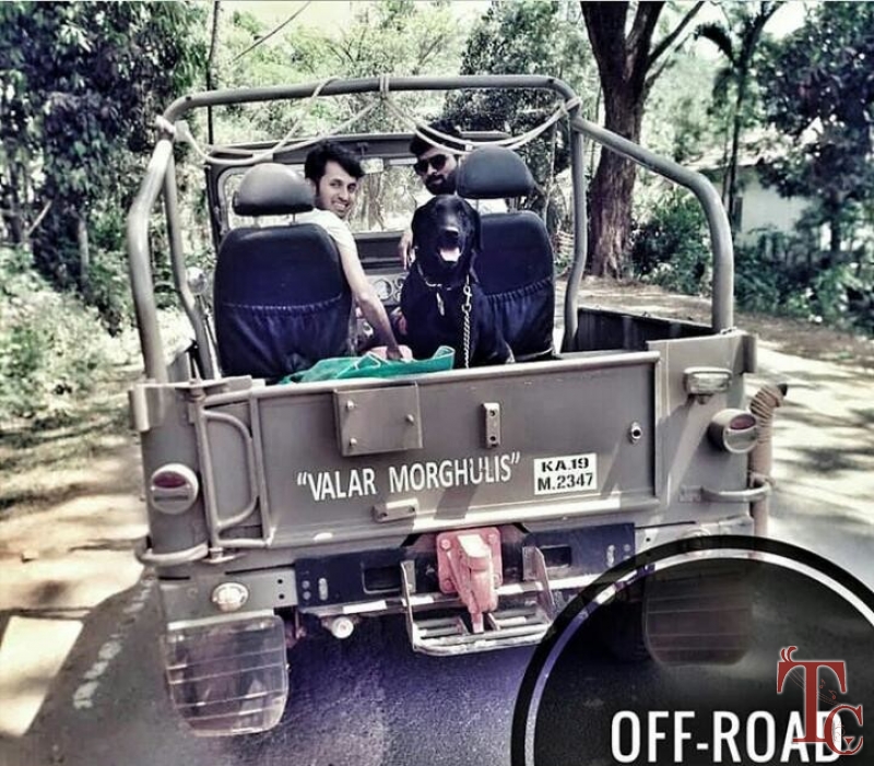 Fogg Villa Homestay photo 29