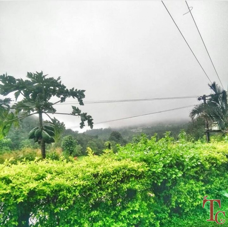 Fogg Villa Homestay photo 36