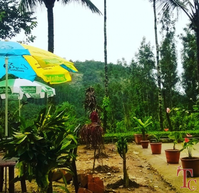 Fogg Villa Homestay photo 39