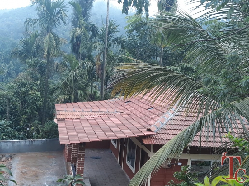 Misty Hut Homestay photo 8