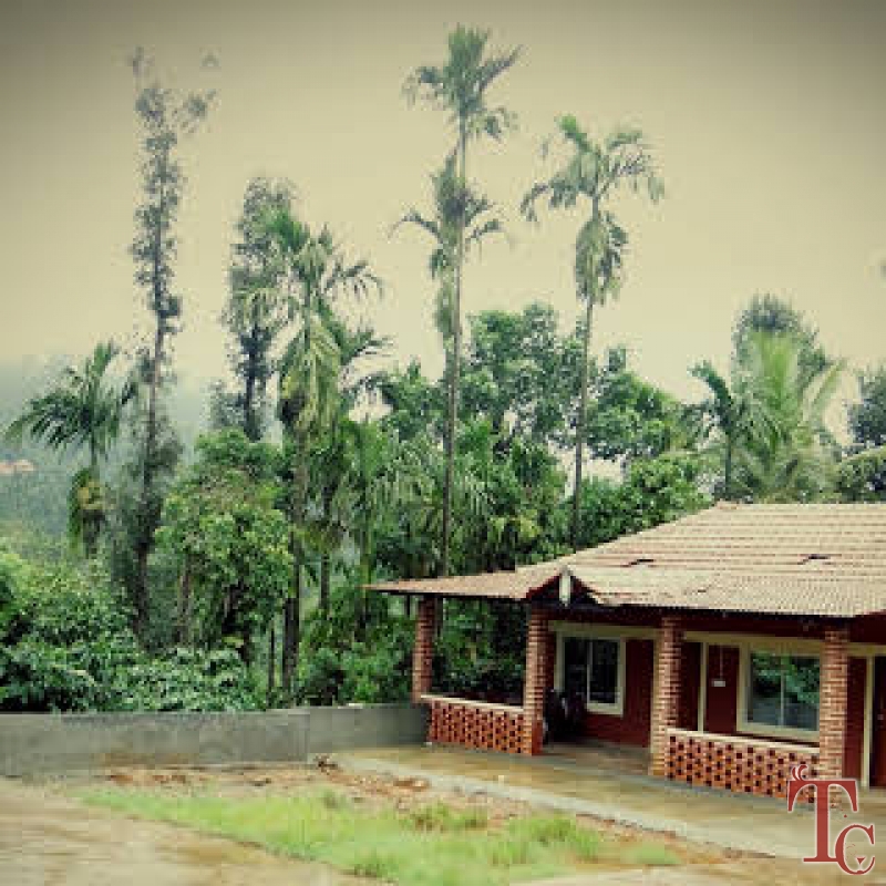 Misty Hut Homestay photo 16