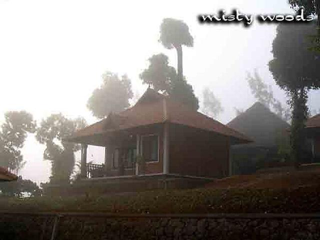 Misty Woods Resort photo 33