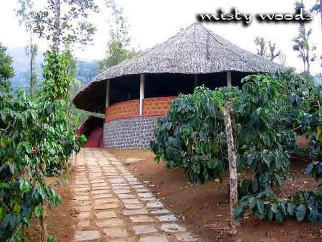 Misty Woods Resort photo 35