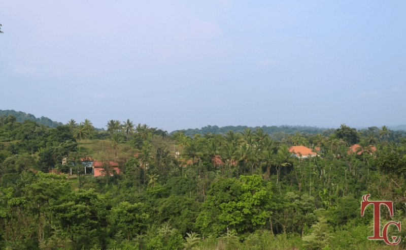 Ruthu Heritage Homes photo 13