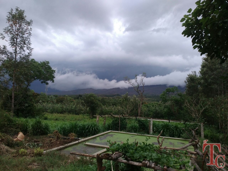 Mayuravana Homestay photo 16