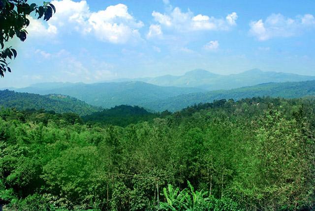 Vanavihara Homestay photo 12