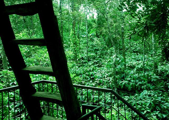 Vanavihara Homestay photo 15