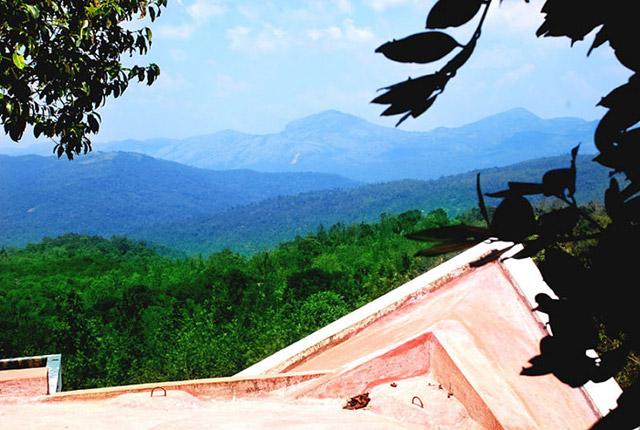 Vanavihara Homestay photo 17