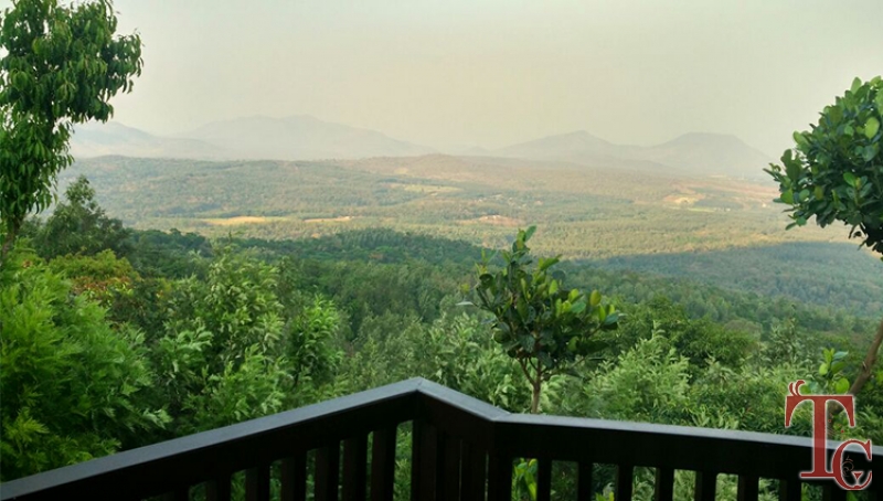 The Mellows Homestay photo 3