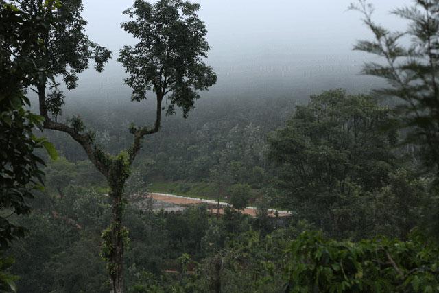 Kalgreen Valley Resort photo 35