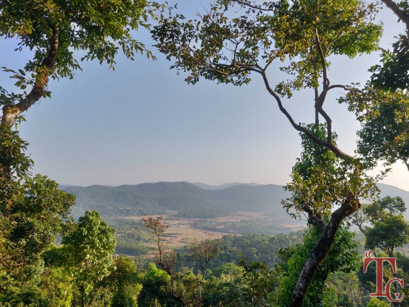 Kambalakaad Homestay photo 15