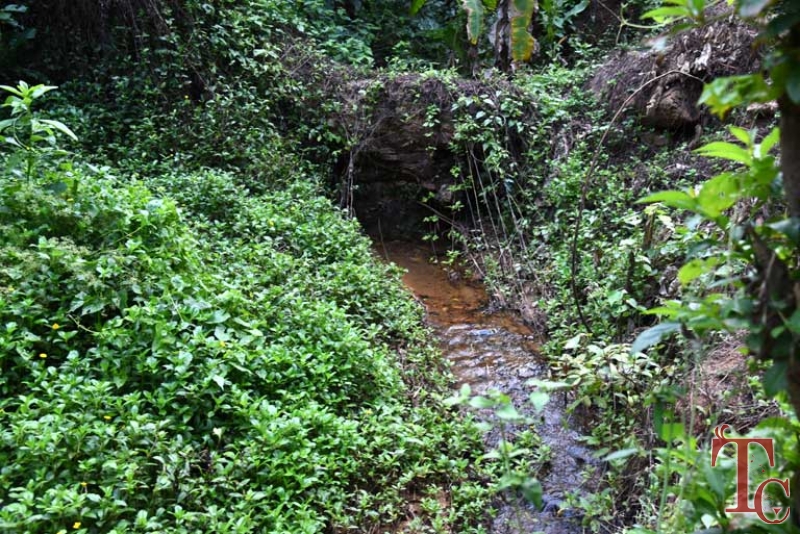 Birds Nest Homestay photo 17