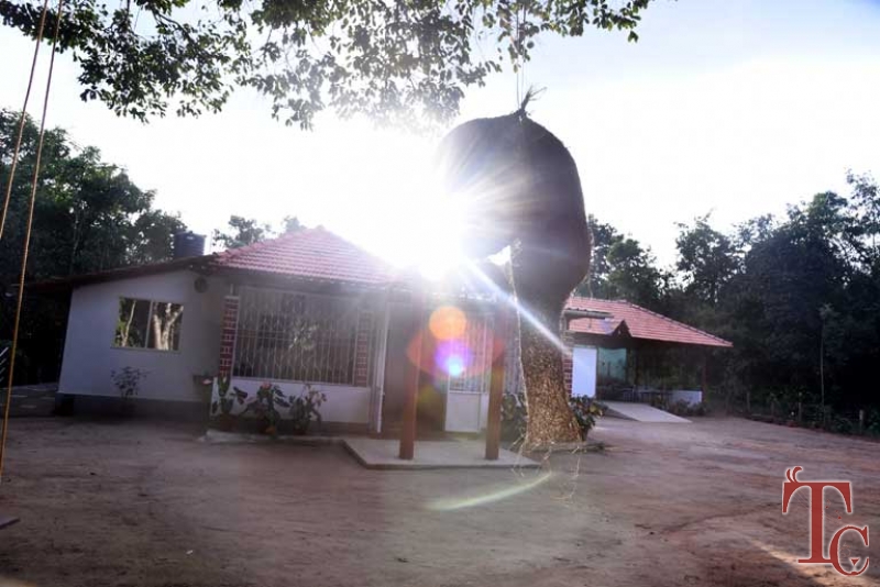 Birds Nest Homestay photo 20
