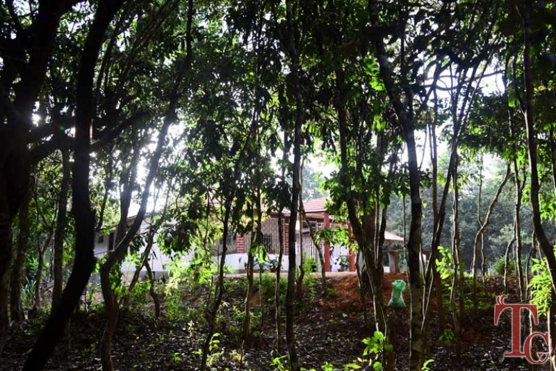 Birds Nest Homestay photo 24