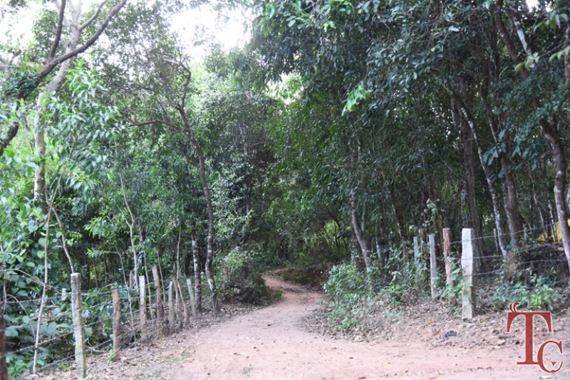 Birds Nest Homestay photo 30